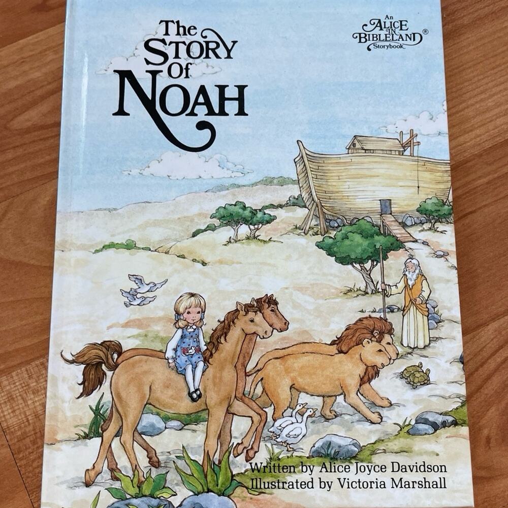 The Story of Noah Book